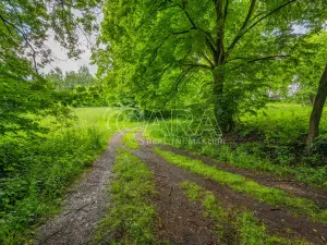 Prodej pozemku pro bydlení, Hrubá Skála, 5519 m2