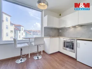 Pronájem bytu 1+kk, Plzeň - Severní Předměstí, Otýlie Beníškové, 29 m2