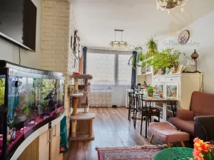 Prodej bytu 3+kk, Neratovice, Kojetická, 47 m2