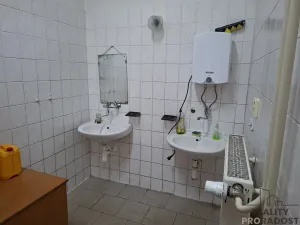 Pronájem výrobních prostor, Slaný, Netovická, 230 m2