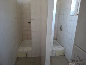 Pronájem výrobních prostor, Slaný, Netovická, 230 m2