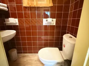 Pronájem bytu 4+1, Plzeň, Americká, 135 m2