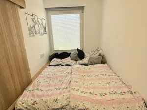 Pronájem bytu 2+1, Praha, Svídnická, 39 m2