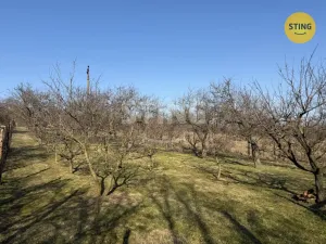 Prodej sadu/vinice, Miroslavské Knínice, 4555 m2