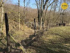 Prodej sadu/vinice, Miroslavské Knínice, 4555 m2