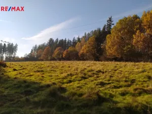 Prodej louky, Kynšperk nad Ohří, 20332 m2