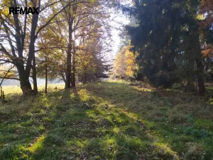 Prodej louky, Kynšperk nad Ohří, 20332 m2