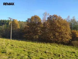 Prodej louky, Kynšperk nad Ohří, 20332 m2