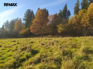 Prodej louky, Kynšperk nad Ohří, 20332 m2