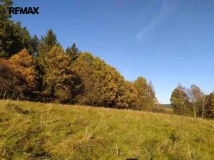 Prodej louky, Kynšperk nad Ohří, 20332 m2