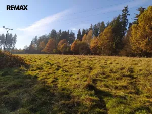 Prodej louky, Kynšperk nad Ohří, 20332 m2
