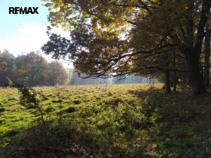 Prodej louky, Kynšperk nad Ohří, 20332 m2