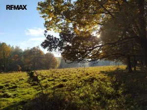 Prodej louky, Kynšperk nad Ohří, 20332 m2