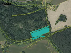 Prodej louky, Kynšperk nad Ohří, 20332 m2