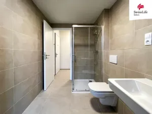 Pronájem bytu 1+kk, Plzeň, 38 m2