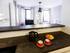 Pronájem bytu 2+kk, Praha - Karlín, Šaldova, 51 m2