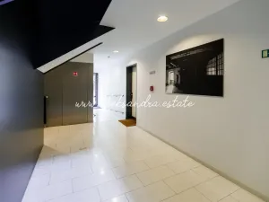 Pronájem bytu 2+kk, Praha - Karlín, Šaldova, 51 m2