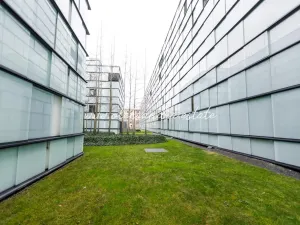 Pronájem bytu 2+kk, Praha - Karlín, Šaldova, 51 m2