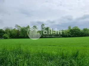 Prodej pozemku pro bydlení, Vyškov, Slunečná, 441 m2