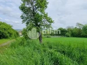 Prodej pozemku pro bydlení, Vyškov, Slunečná, 441 m2