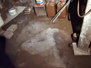 Prodej domu, Bystrá nad Jizerou, 130 m2