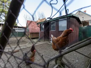 Prodej rodinného domu, Frenštát pod Radhoštěm, 153 m2
