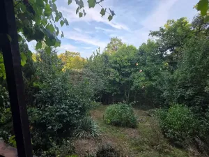 Prodej chaty, Brno, 24 m2