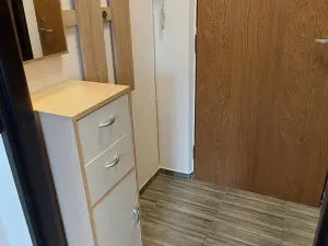 Prodej bytu 1+kk, Valašské Meziříčí, Vsetínská, 19 m2