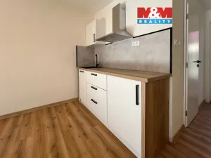 Pronájem rodinného domu, Chomutov, Lipská, 38 m2