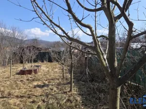 Prodej zahrady, Jeseník, Janáčkova, 132 m2