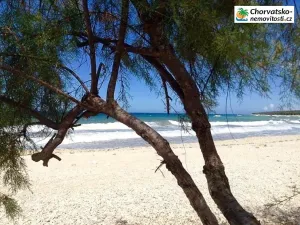 Prodej bytu 1+kk, Gajac, Chorvatsko, 22 m2