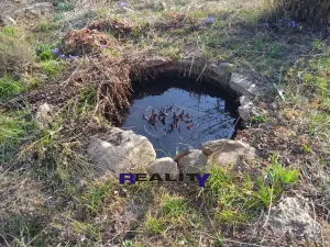 Pronájem zahrady, Kryry, 367 m2