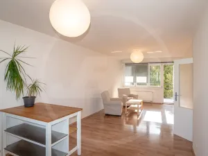 Pronájem bytu 3+1, Praha - Sedlec, V Sedlci, 97 m2