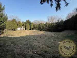 Prodej chaty, Přestavlky u Čerčan, 20 m2