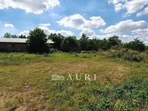 Prodej skladu, Zvoleněves, 7650 m2