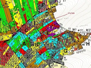 Dražba lesa, Milavče, 2398 m2