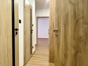 Pronájem bytu 1+1, Ostrava - Hrabůvka, Dr. Martínka, 37 m2