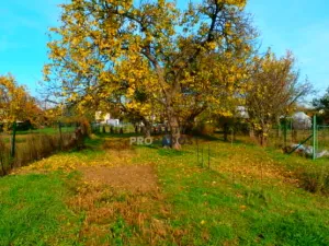 Prodej zahrady, Znojmo, 1330 m2