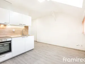 Pronájem bytu 1+kk, Brno - Pisárky, Hlinky, 19 m2