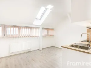 Pronájem bytu 1+kk, Brno - Pisárky, Hlinky, 19 m2