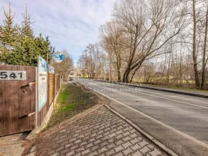 Pronájem obchodního prostoru, Vestec, Vestecká, 252 m2