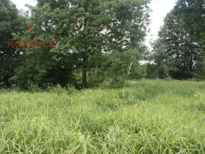 Pronájem pozemku, Planá nad Lužnicí, Soukenická, 650 m2