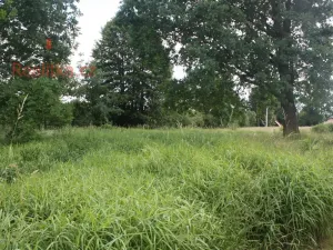 Pronájem pozemku, Planá nad Lužnicí, Soukenická, 650 m2