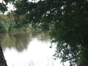 Pronájem pozemku, Planá nad Lužnicí, Soukenická, 650 m2