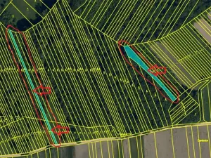 Prodej lesa, Veselí nad Moravou, 2272 m2