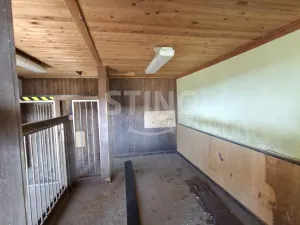 Pronájem zemědělského objektu, Tršice - Přestavlky, 190 m2