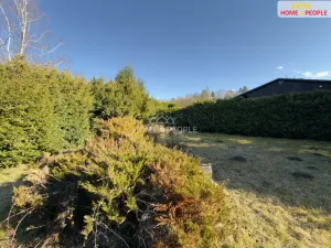 Prodej pozemku pro bydlení, Krňany - Třebsín, 442 m2