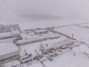 Prodej komerční, Rosice, 398 m2