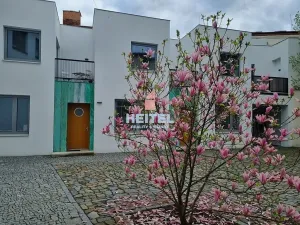 Pronájem bytu 2+kk, Olomouc, Vodární, 50 m2