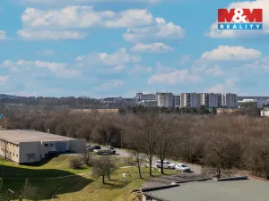 Prodej bytu 1+1, Plzeň - Jižní Předměstí, Čermákova, 43 m2